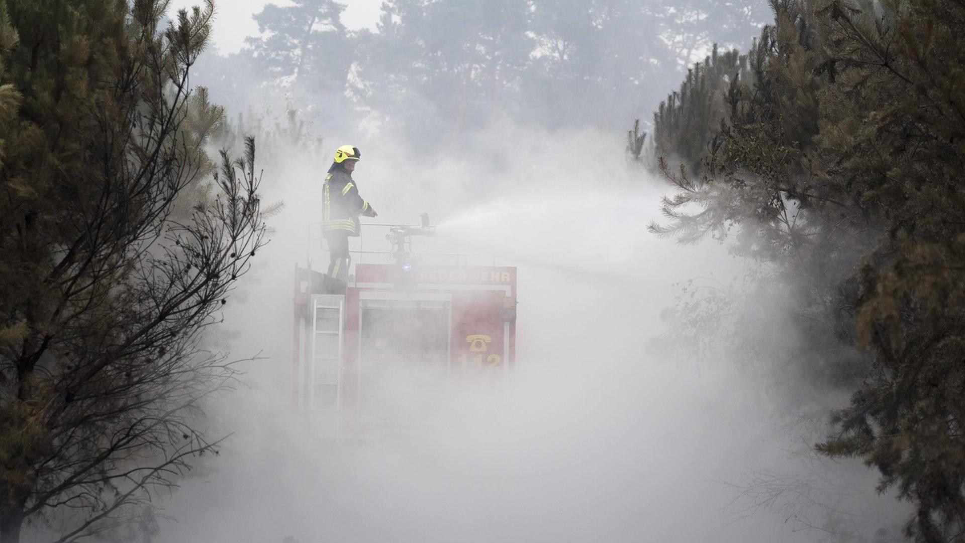 Feuerwehr bei der Bekämpfung eines Wald- und Waldbodenbrandes nahe Treuenbrietzen in den Brandenburger Landkeisen Teltow-Fläming und Potsdam-Mittelmark.