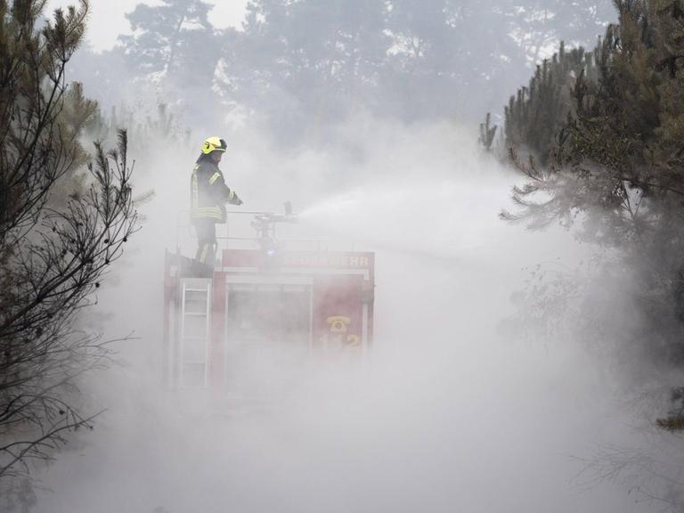 Feuerwehr bei der Bekämpfung eines Wald- und Waldbodenbrandes nahe Treuenbrietzen in den Brandenburger Landkeisen Teltow-Fläming und Potsdam-Mittelmark.