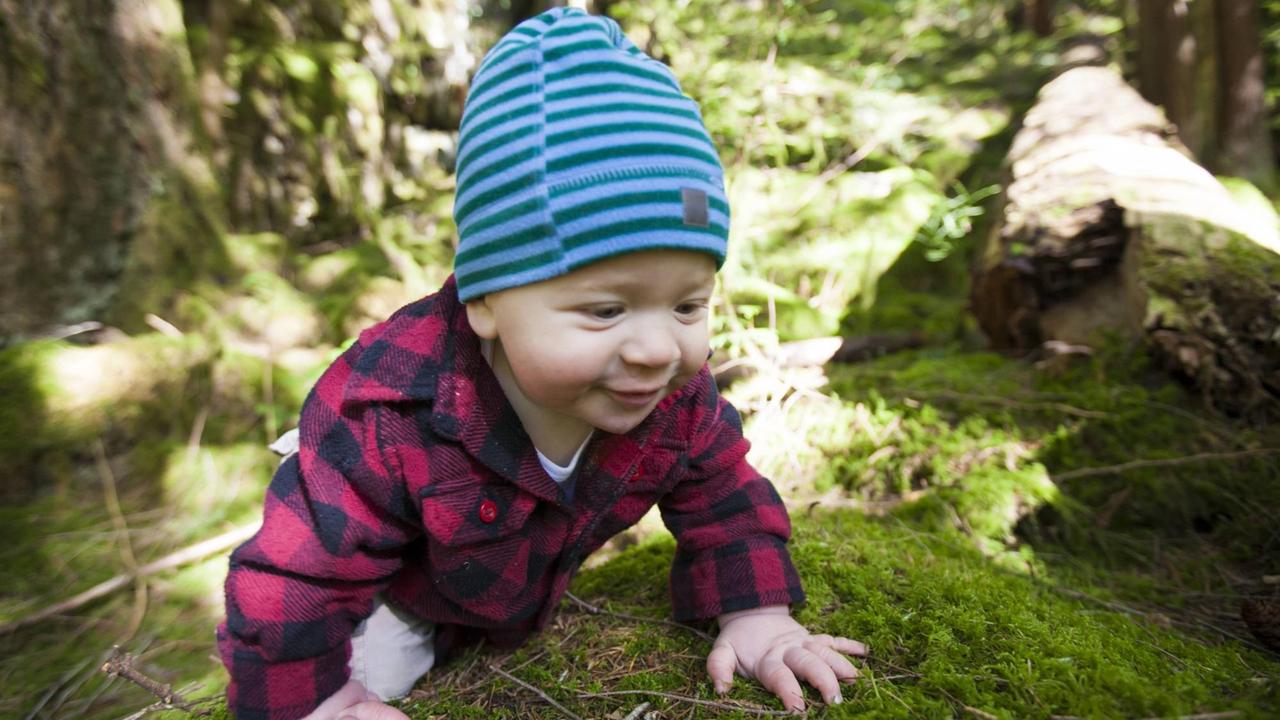 Ein kleiner Junge mit blau gestreifter Mütze und rot-schwarz karierter Jacke krabbelt vergnügt über einen moosigen Waldboden.