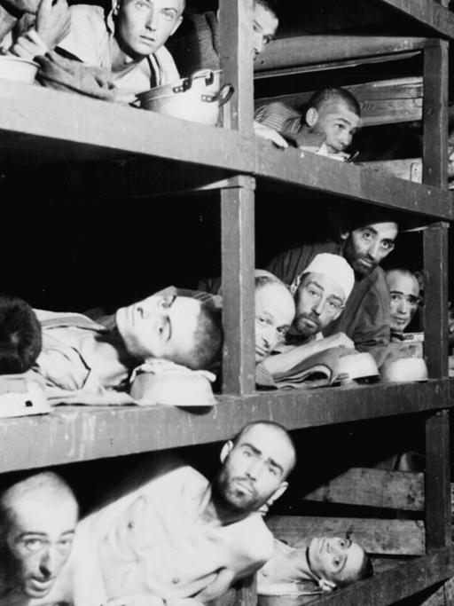 Befreite Häftlinge des Konzentrationslagers Buchenwald: Ausgemergelte und entkräftete Männer liegen in einer Baracke auf Holzpritschen und gucken in die Kamera.