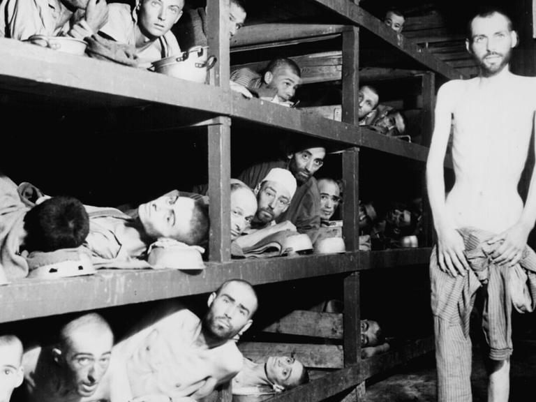 Befreite Häftlinge des Konzentrationslagers Buchenwald: Ausgemergelte und entkräftete Männer liegen in einer Baracke auf Holzpritschen und gucken in die Kamera.