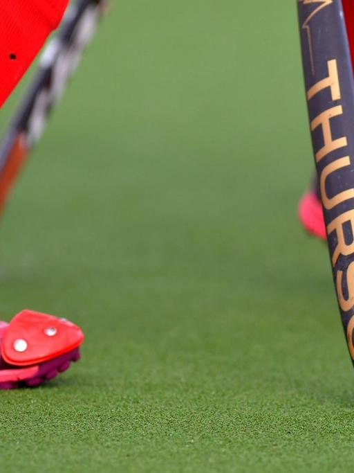 Illustration picture taken during a Field hockey, Feldhockey game between Belgium s Red Panthers and Australia, Wednesday 19 June 2019 in Wilrijk, Antwerp, game 15/16 of the women s FIH Pro League competition. LUCxCLAESSEN PUBLICATIONxINxGERxSUIxAUTxONLY x05607754x