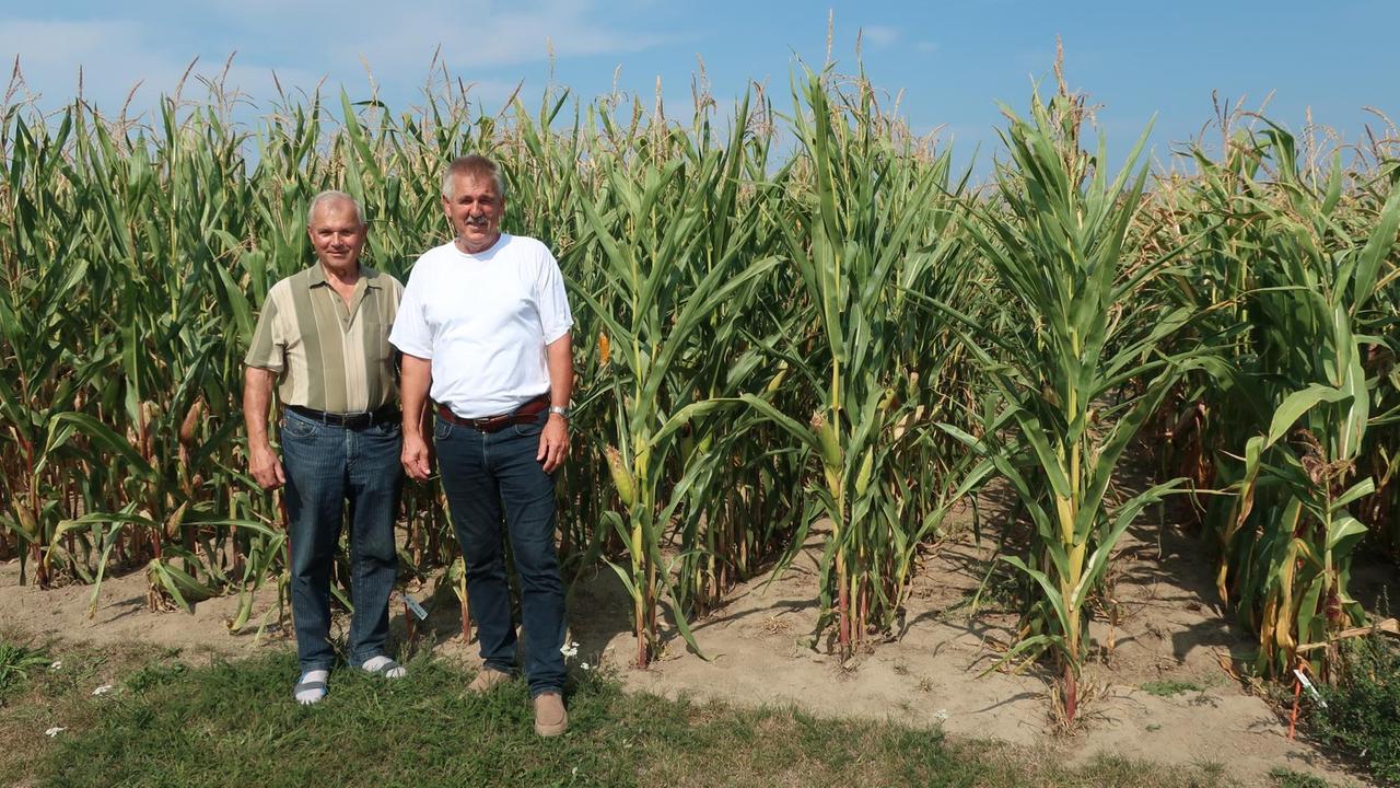 Landwirt Dieter Helm (l.) mit einem Kollegen vor einem Maisfeld.