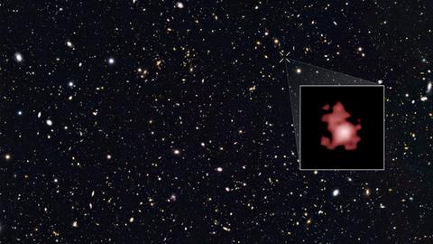 Die Rekordgalaxie im Großen Bären erscheint als verwaschener Lichtfleck