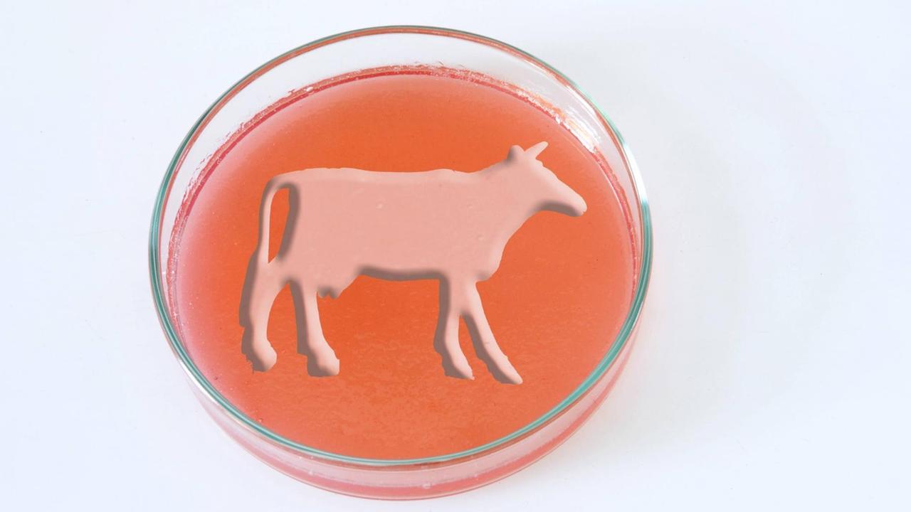 Eine Schale mit roter Flüssigkeit, auf der symbolisch eine Kuh dargestellt ist.