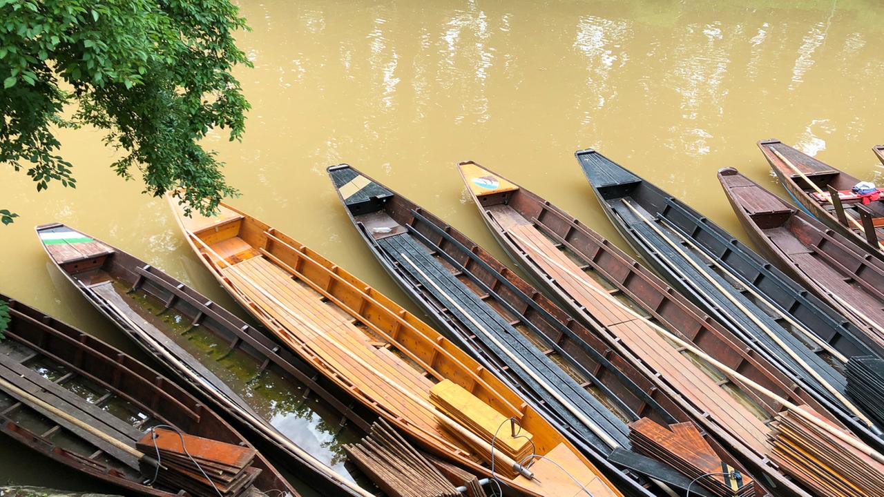 Stocherkähne liegen am Ufer des Neckar. Wie in Venedig stößt man sich mit einer langen Stange am Grund des Flusses ab.