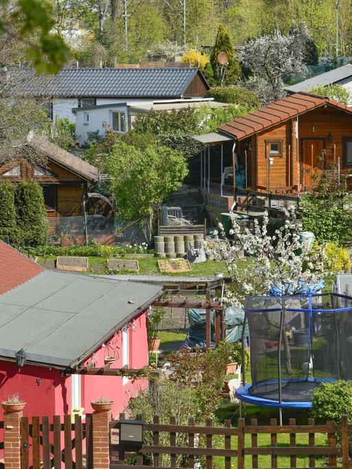 Mehrere Gartenhäuser sind zwischen Bäumen, Sträuchern und Wiesen zu sehen. Im Vordergrund blüht ein gelber Forsythienstrauch neben einem Trampolin für Kinder.