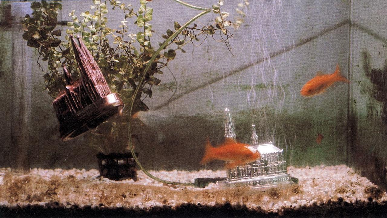 In Nam June Paiks Videoobjekt "Mein Kölner Dom" schwimmen Miniaturmodelle des Kölner Doms in einem Aquarium.