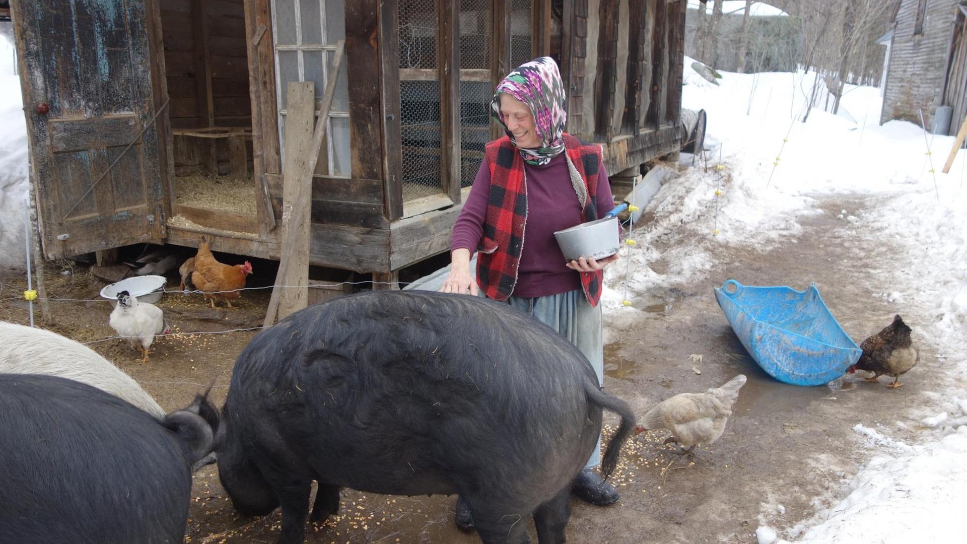 Lee Holman mit Tieren auf ihrer Farm. Sie trägt ein buntes Kopftuch, hält eine Schüssel mit Futter in der einen Hand und streichelt ein Schwein