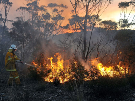 Flammen in den Blue Mountains im Bundesstaat New South Wales, westlich von Sydney