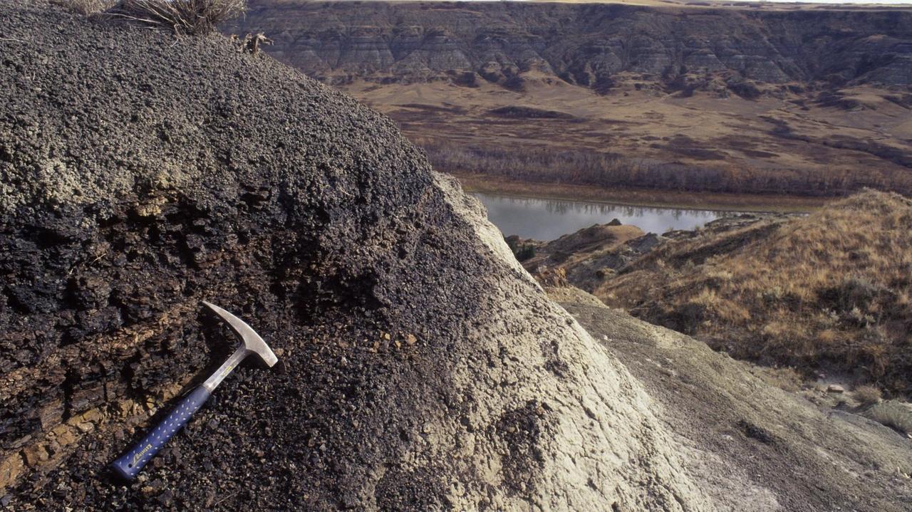 Red Deer River Valley, Alberta, Canada: Die Spitze des Geologenhammers weist auf die iridiumreiche, etwa zwei Zentimeter dicke Tonschicht. 