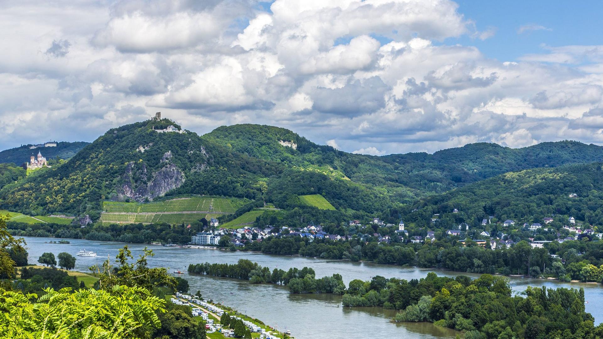 Das Rheintal