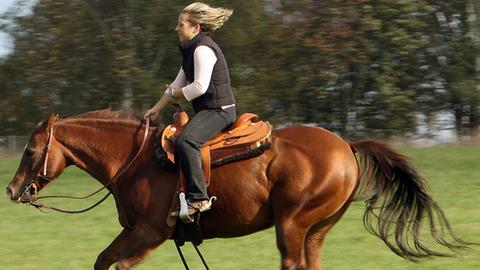 Westernreiterin Stefanie Meschonat auf ihrem Pferd Cody