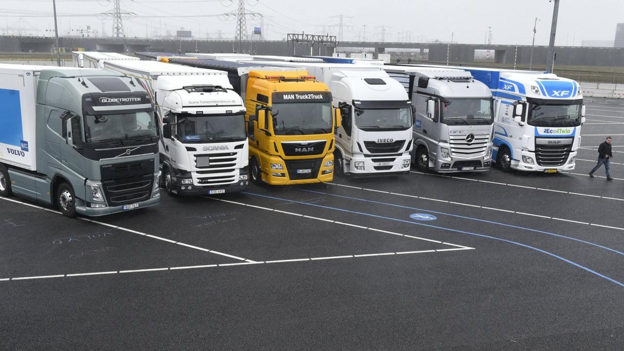 Halbautomatische Lastwagen verschiedener Hersteller stehen auf einem Parkplatz.