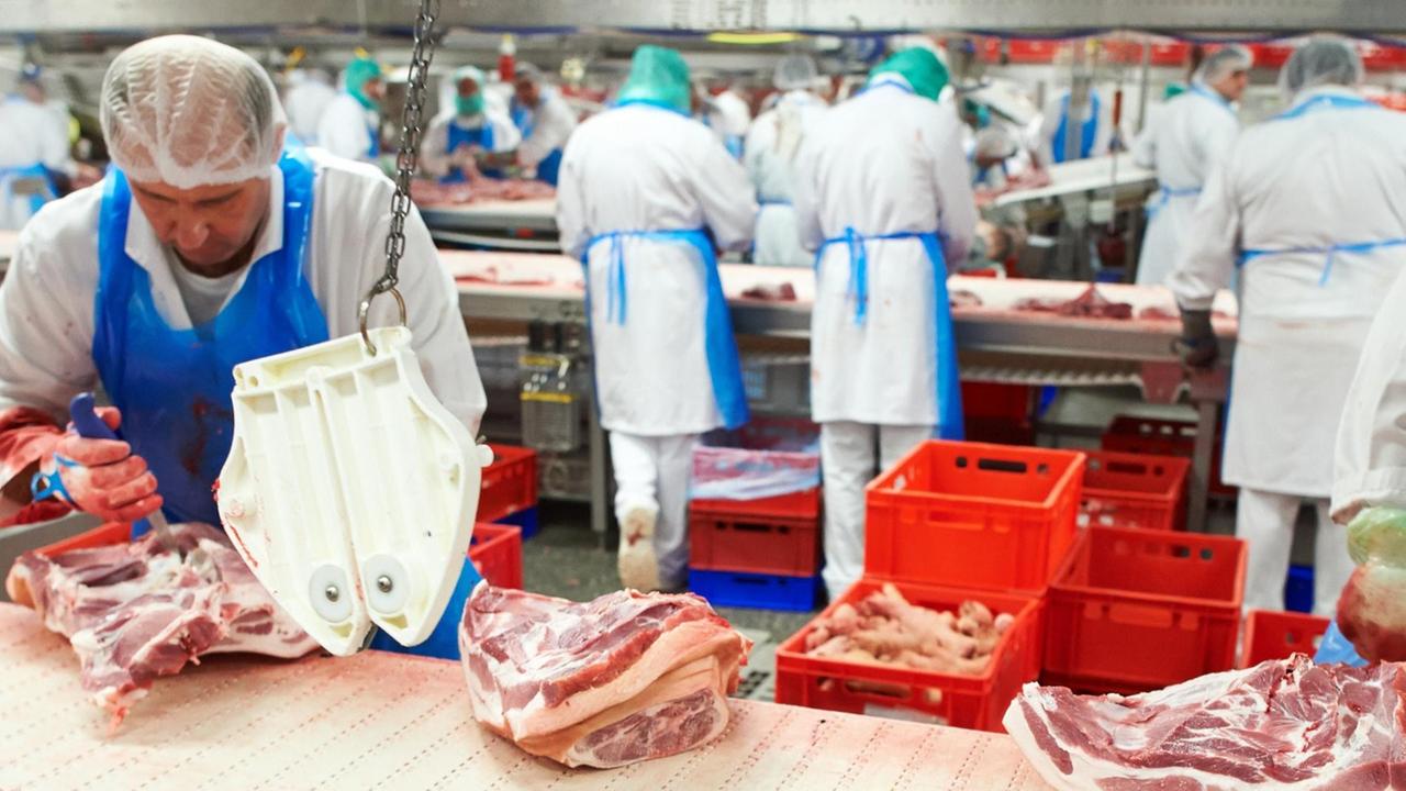 Mitarbeiter des Fleischunternehmens Tönnies arbeiten am 28.02.2013 in Rheda-Wiedenbrück (Nordrhein-Westfalen) an einem Fließband.
