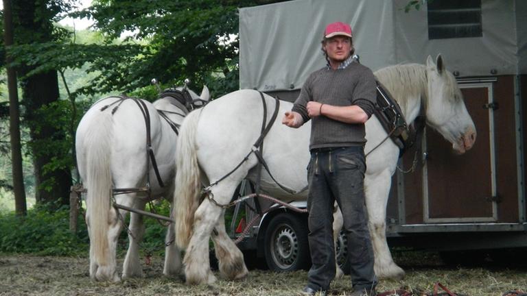 Zwei weiße Pferde (Kaltblüter), die mit dem Kopf in Richtung eines Anhängers stehen. Daneben ein Mann in Arbeitskleidung: Der Holzrücker Kay Stolzenberg