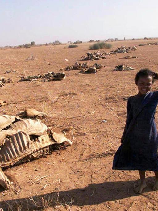 Äthiopien im Teufelskreis von Dürre und Armut, 06.04.2000