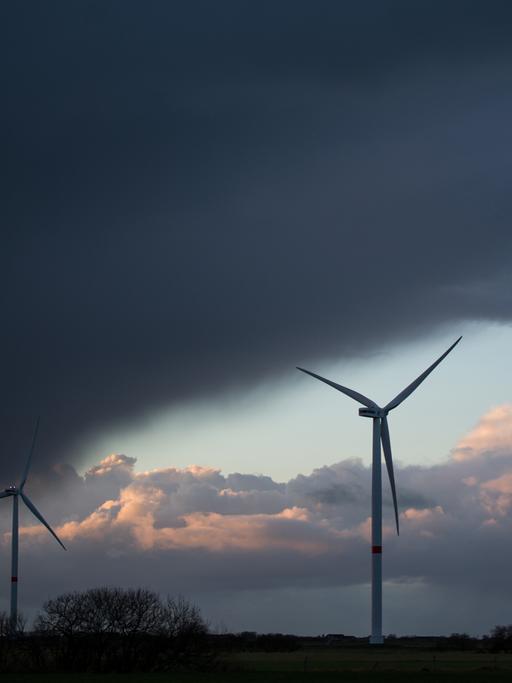 Windräder drehen sich am 04.12.2013 in Ockholm (Schleswig-Holstein) beim Sonnenuntergang. Tief «Xaver» soll am Donnerstag mit Orkanstärke an der deutschen Nordseeküste ankommen.
