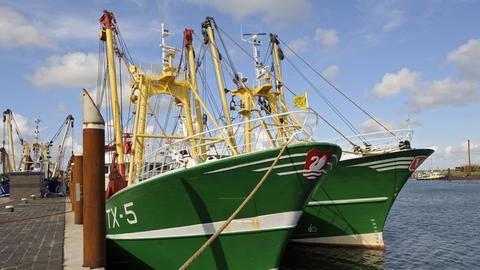 Fischfangschiffe im Hafen von Texel, Niederlande
