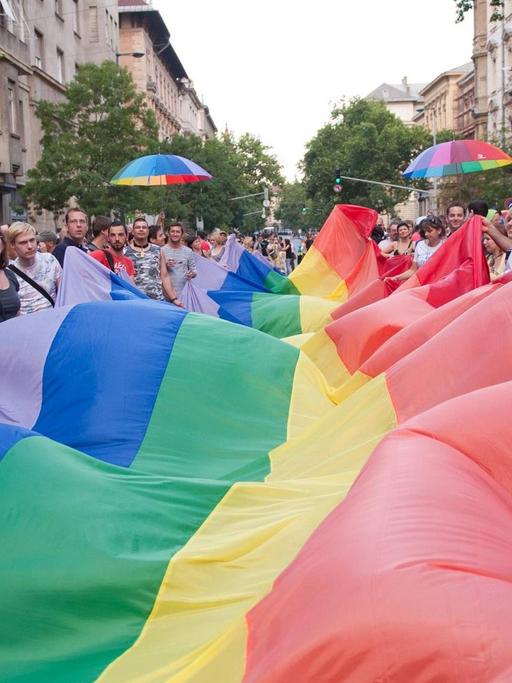 Etliche Menschen halten bei einer Protestkundgebung der Pride-Bewegung eine überdimensionale Regenbogenfahne.