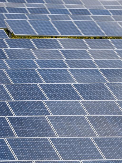 Dutzende Sonnenkollektoren stehen am in einem Solarpark des Photovoltaik-Spezialisten IBC Solar an der Autobahn 70 bei Buckendorf (Bayern).