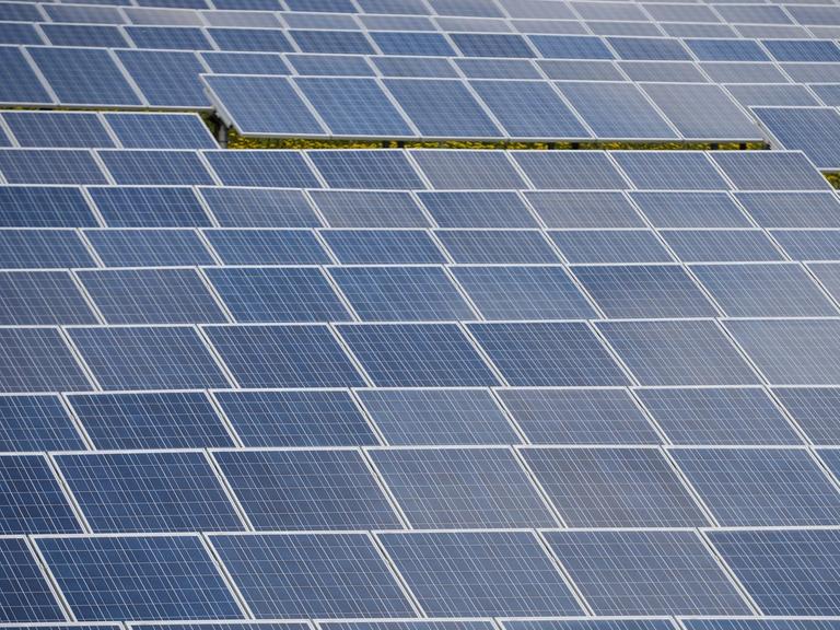 Dutzende Sonnenkollektoren stehen am in einem Solarpark des Photovoltaik-Spezialisten IBC Solar an der Autobahn 70 bei Buckendorf (Bayern).