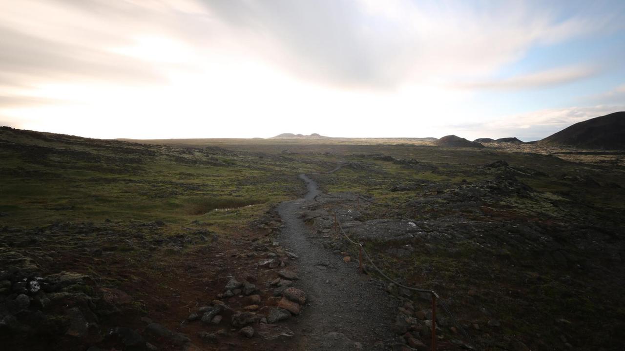Ein schmaler Pfad über ein mit Moos bewachsenes Lavafeld. Im Hintergrund sind Bergspitzen zu sehen. 