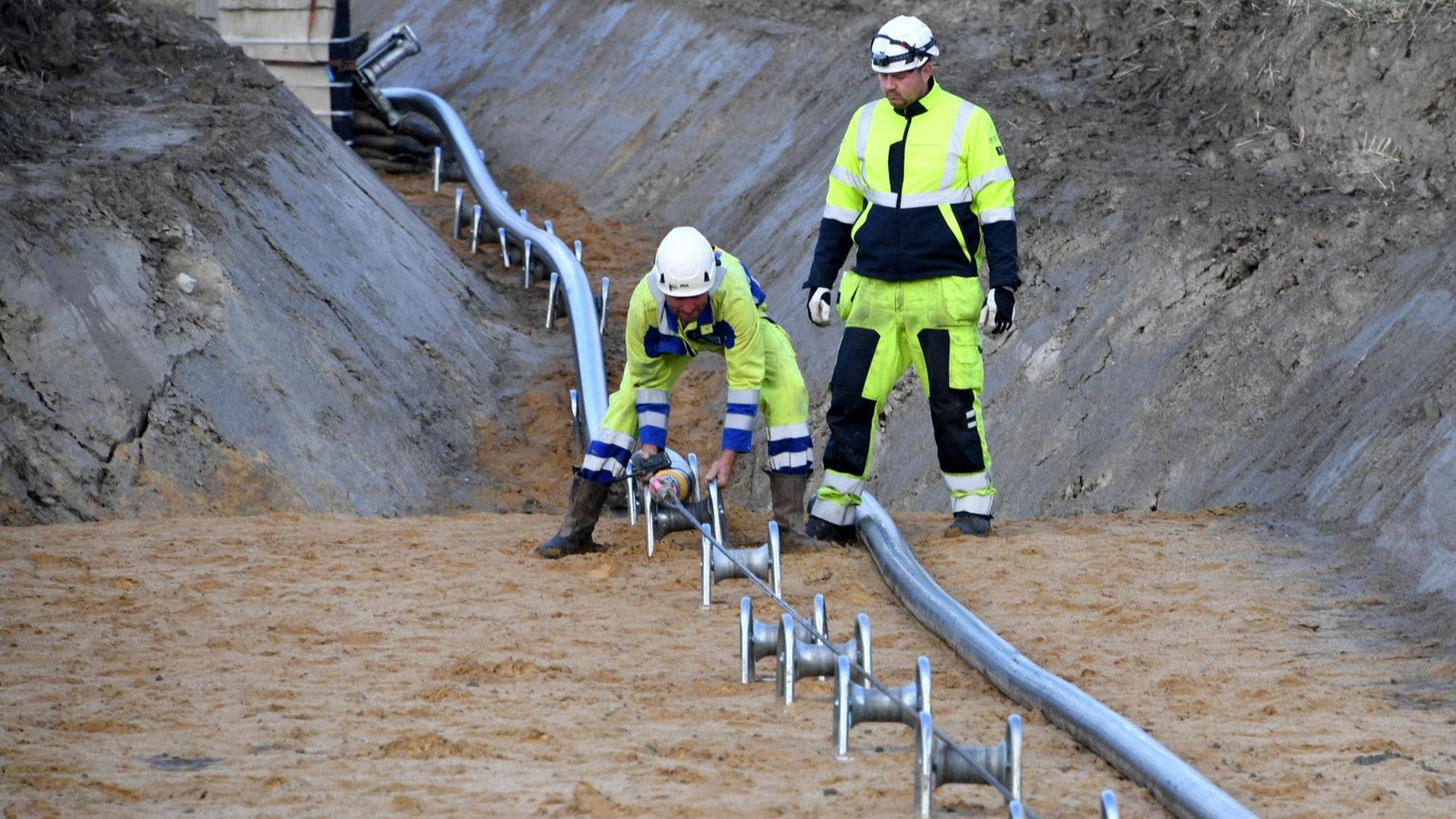 Bauarbeiter verlegen in der Nähe von Büsum ein Gleichstrom-Erdkabel für eine Stromtrasse Bauarbeiter verlegen in der Nähe von Büsum ein Gleichstrom-Erdkabel für eine Stromtrasse