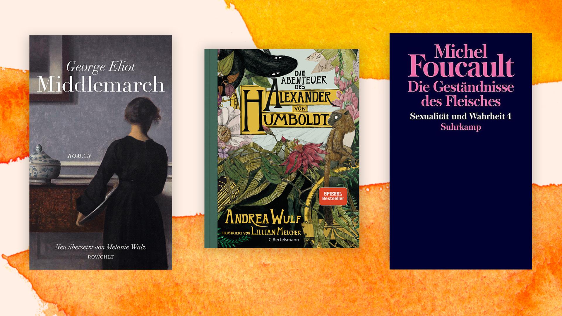 Sachbuch-Empfehlungen des Jahres - Das sind unsere Lieblings-Sachbücher