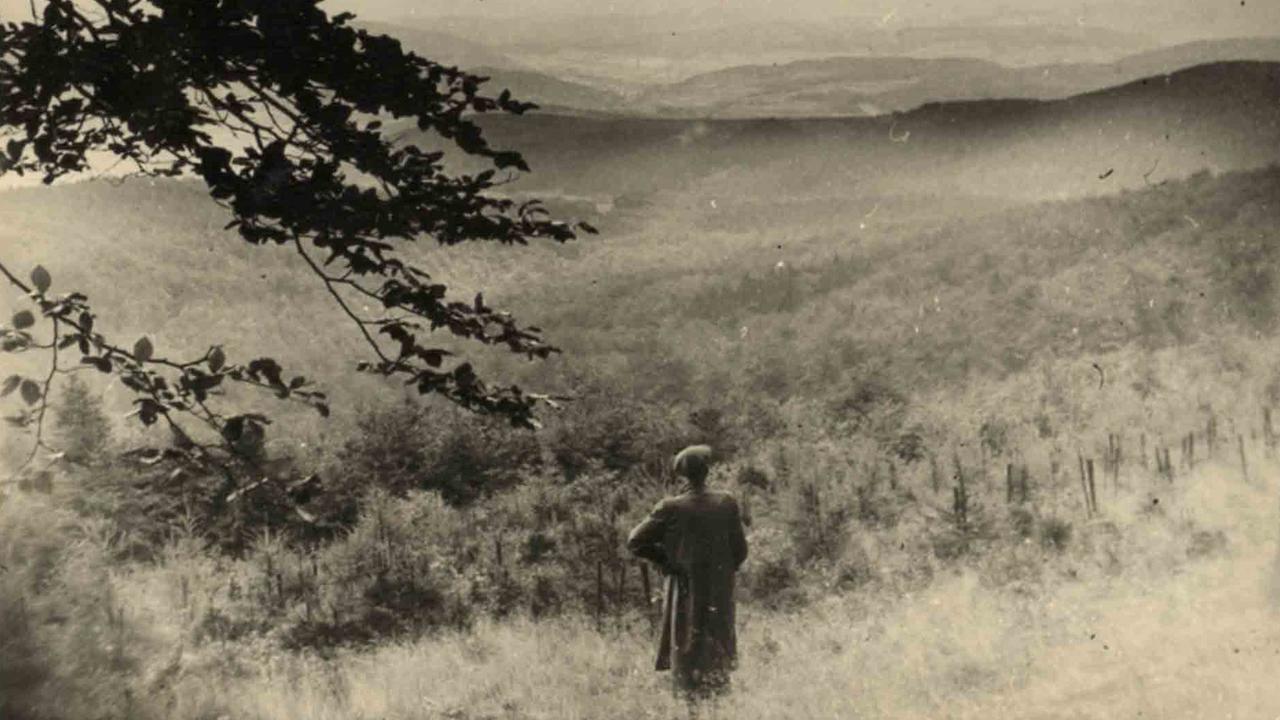 Weiser Wanderer: Hans Jürgen von der Wense im Kaufunger Wald bei Kassel, fotografiert 1954 von Dieter Heim