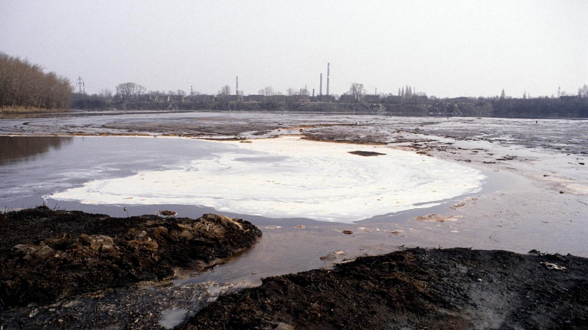 Der sogenannte Silbersee bei Bitterfeld in den zu DDR-Zeiten belastete Abwässer, Schlämme und Abfälle aus der Filmfabrik Wolfen eingeleitet wurden.