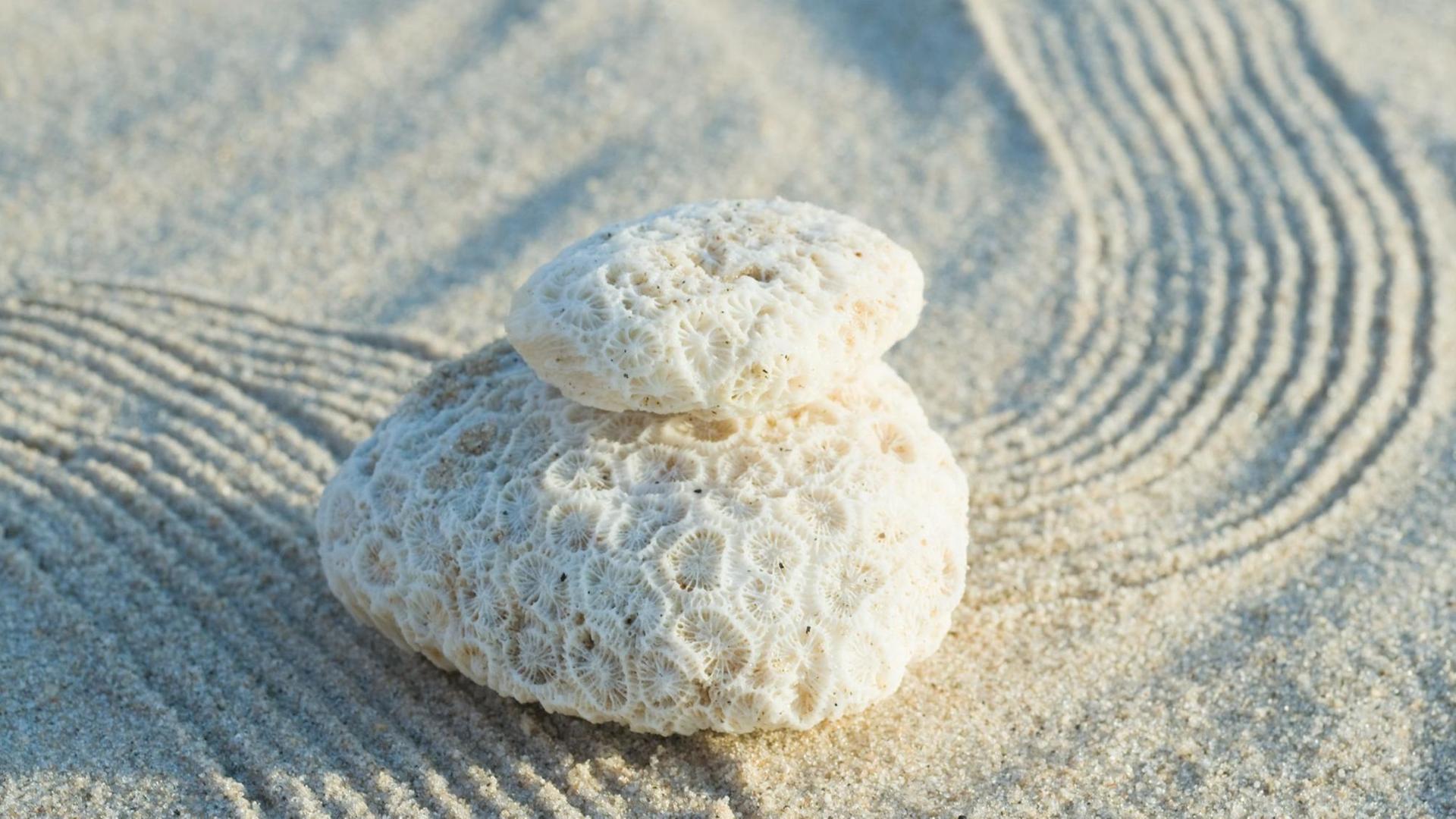 Zwei übereinander gestapelte Korallen auf kunstvoll geharktem Sand