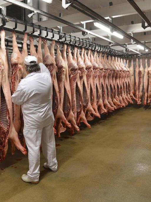 Ein Schlachter steht vor einer Reihe geschlachteter Schweine, die von der Decke hängen.
