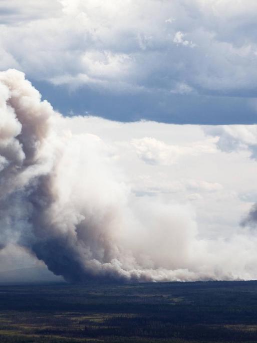 Waldbrand in Alaska