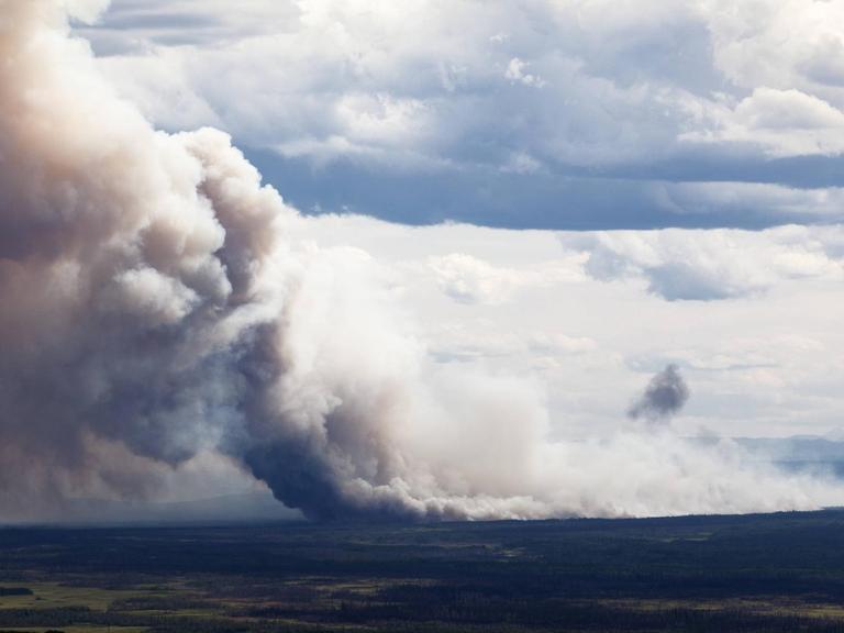 Waldbrand in Alaska