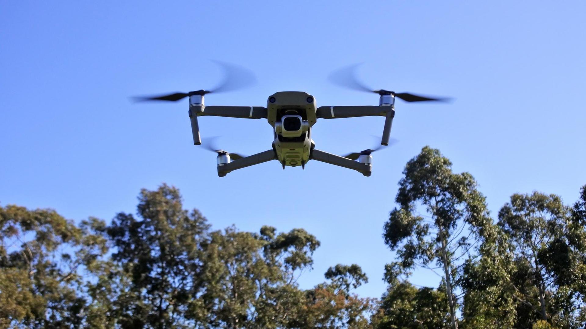 Ein unbemannter Flugkörper, eine so genannte Drohne, fliegt über einige Bäume hinweg.