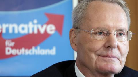 Hans-Olaf Henkel, Europaabgeordneter der AfD