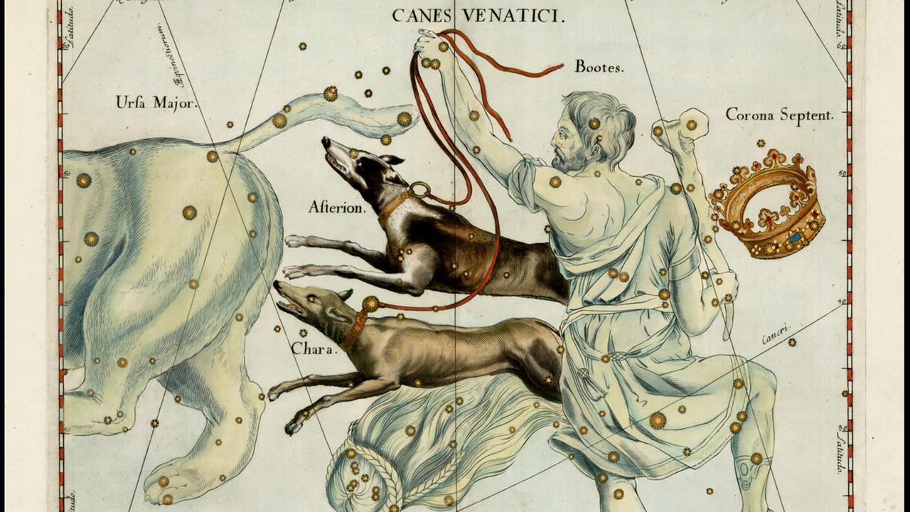 Das Sternbild Jagdhunde in der Darstellung von Hevelius