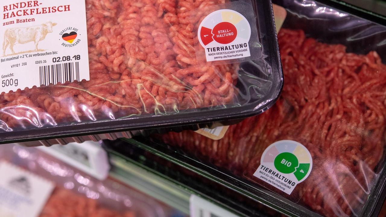Köln, Packungen mit Rinderhackfleisch mit den Haltungskennzeichnungen der Stufe "Stallhaltung" und "Bio" liegen in einem Supermarkt des Lebensmitteldiscounter Penny im Kühlregal. Deutschlands Discounter informieren bei Fleischprodukten immer öfter über die Haltungsbedingungen der Tiere.