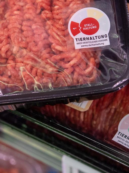 Köln, Packungen mit Rinderhackfleisch mit den Haltungskennzeichnungen der Stufe "Stallhaltung" und "Bio" liegen in einem Supermarkt des Lebensmitteldiscounter Penny im Kühlregal. Deutschlands Discounter informieren bei Fleischprodukten immer öfter über die Haltungsbedingungen der Tiere.