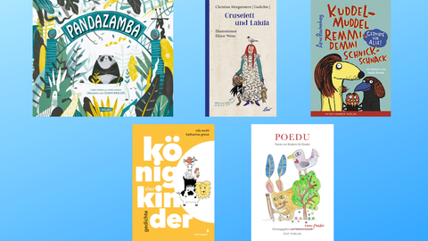 5 Cover von Büchern, die sich mit Kinderlyrik beschäftigen