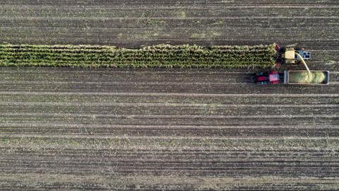 Ein Mähdrescher bei der Maisernte aus der Vogelperspektive fotografiert