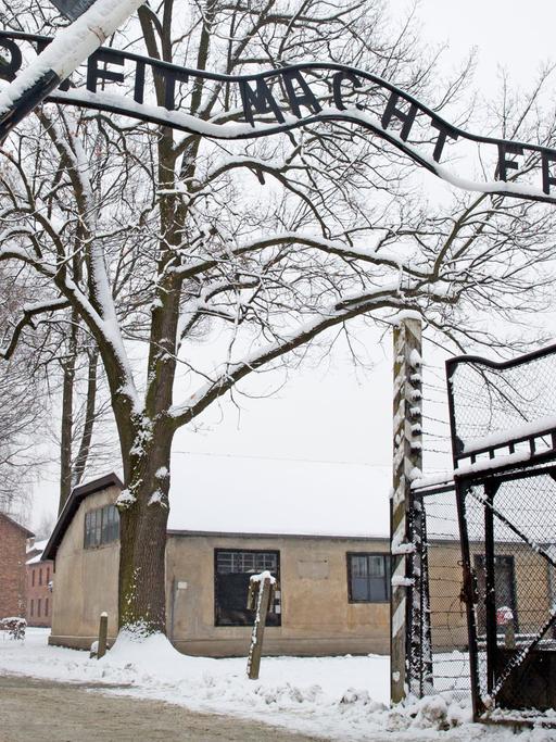 Das Konzentrationslager Auschwitz Birkenau