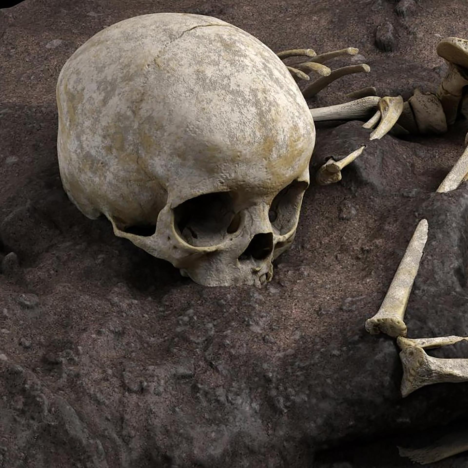 Bestattungen bei Frühmenschen - Das allererste Grab