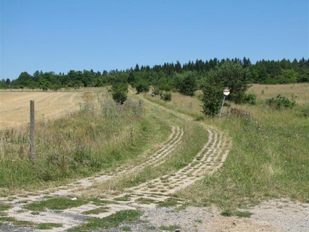 Der ehemalige Kolonnenweg der DDR-Grenzsoldaten besteht aus gelochten Betonplatten.