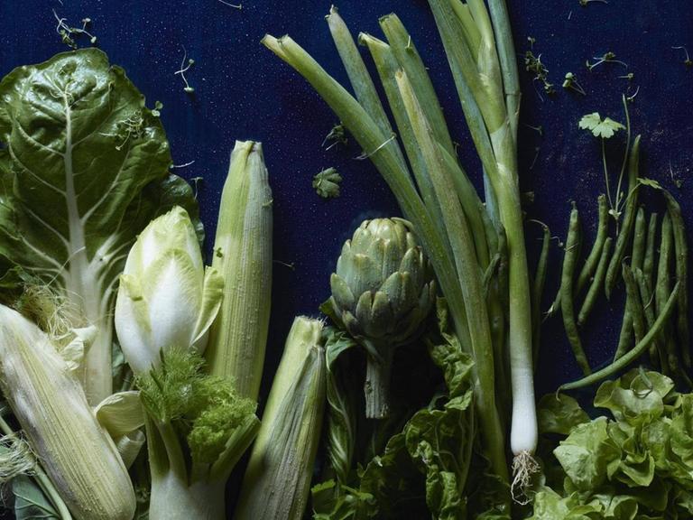 Diverses grünes Gemüse auf blauem Untergrund.