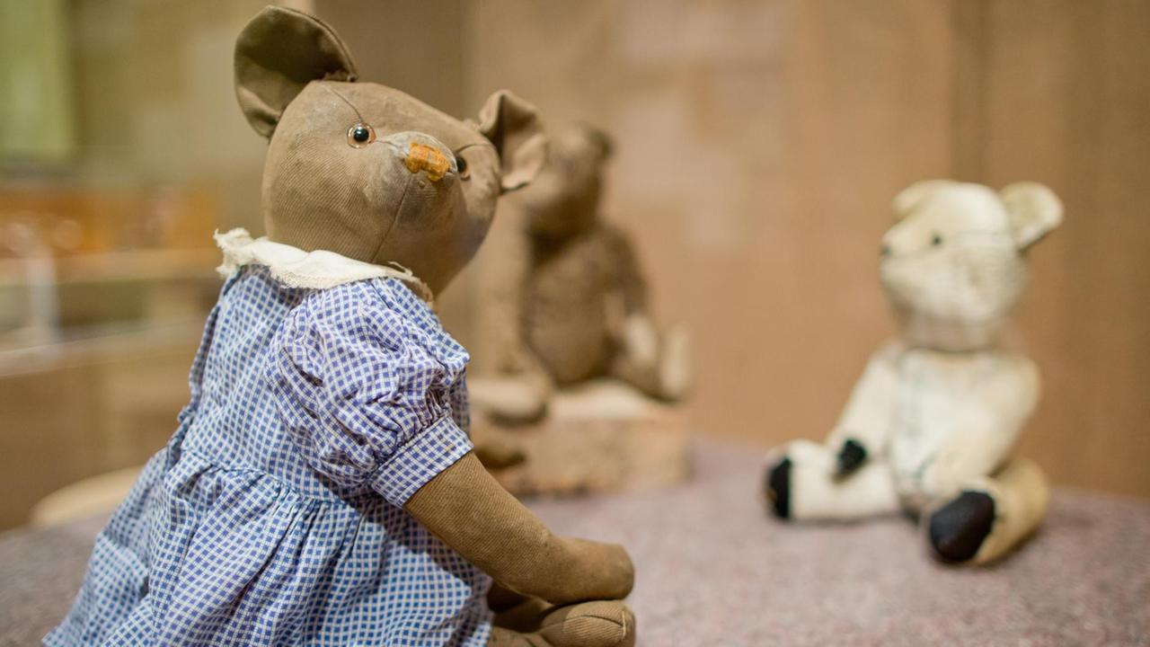 Ein alter Spielzeug-Bär in einem blauen Kleid sitzt in einer Vitrine und schaut in Richtung der Kamera.