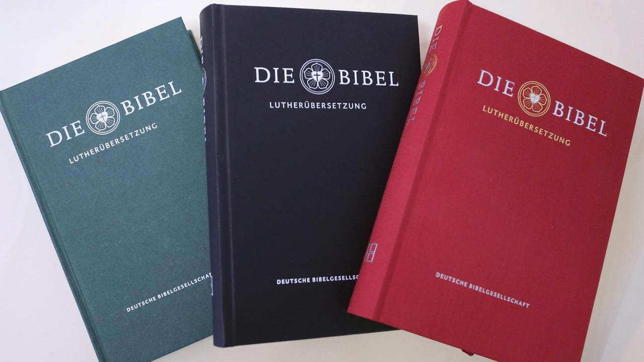 Drei nebeneinander liegende Bibel-Ausgaben in den Farben grün, schwarz und rot. 
