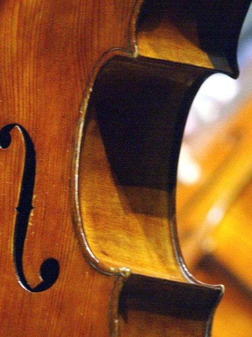 Detailaufnahme eines Cellos, bei dem der Steg, die Saiten und die Schalllöcher des Instrumentes zu sehen sind.