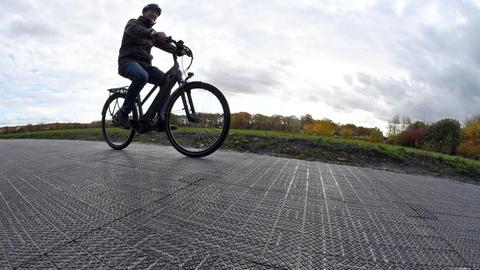 Menschen und ein Hund laufen über den Radweg. (Deutschlandradio / Vivien Leue)